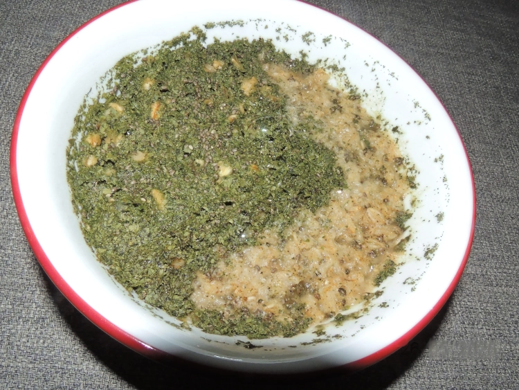 OatsandOnionsOatmeal