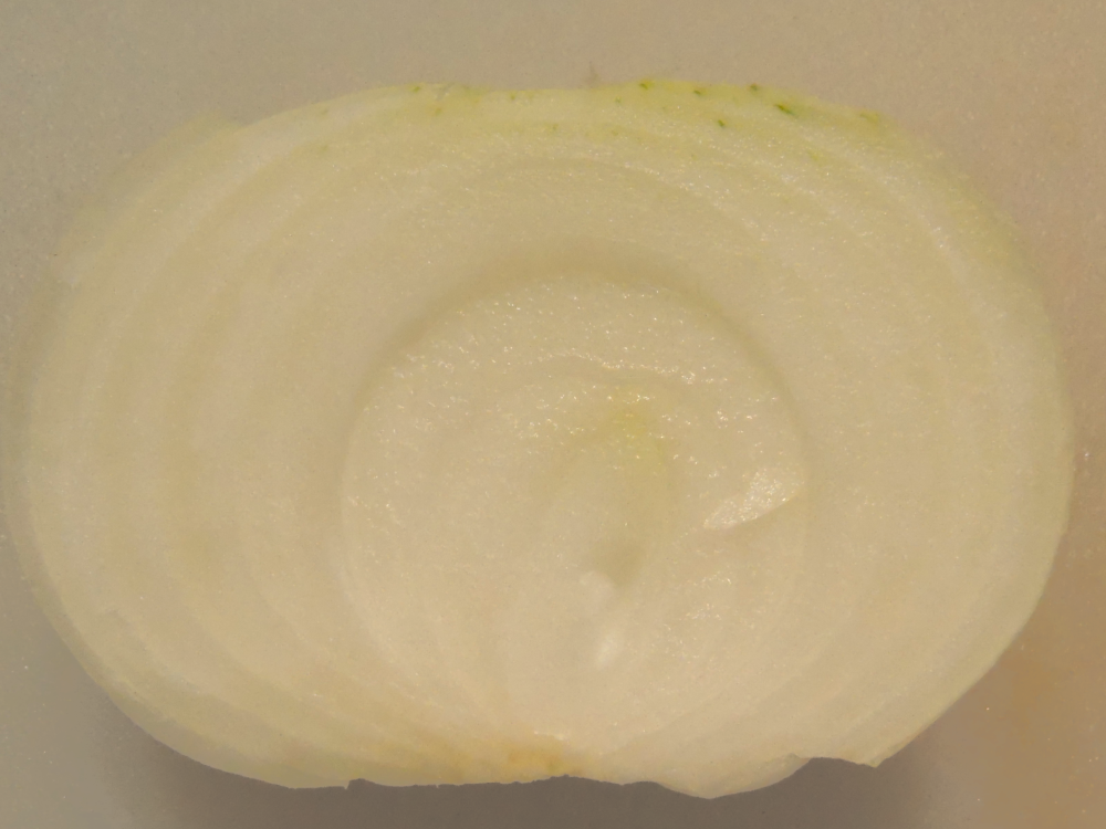 Yellow No Sweetener Onion