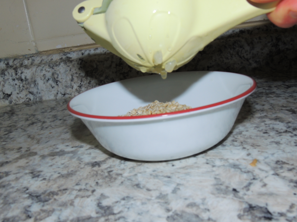 OatsandOnionsOatmeal