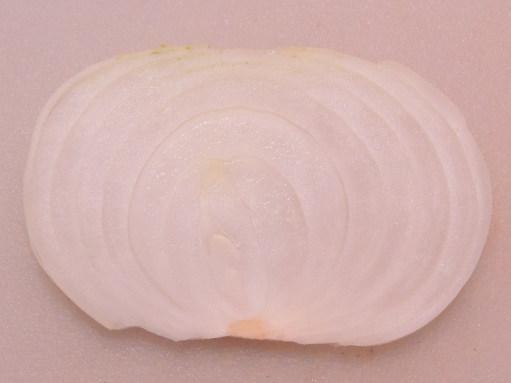 Red No Salt Onion